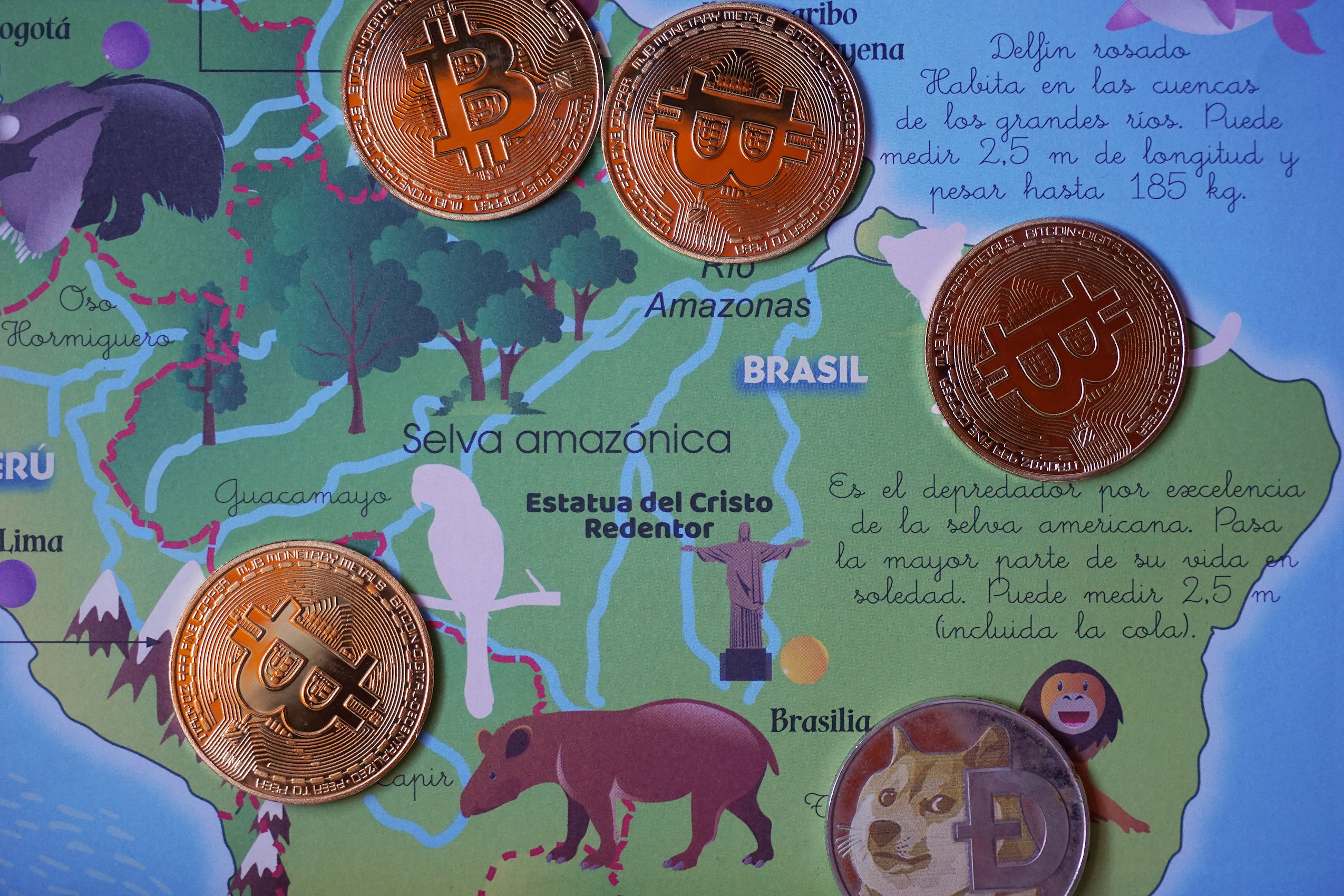 Digital Currency On Map Of Brazil Ⓒ 2023 – Crypto Coin Opps