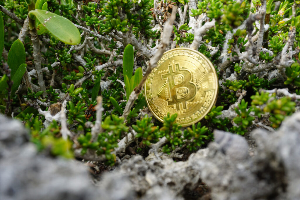 Bitcoin In Green Shrub Ⓒ 2023 – Crypto Coin Opps