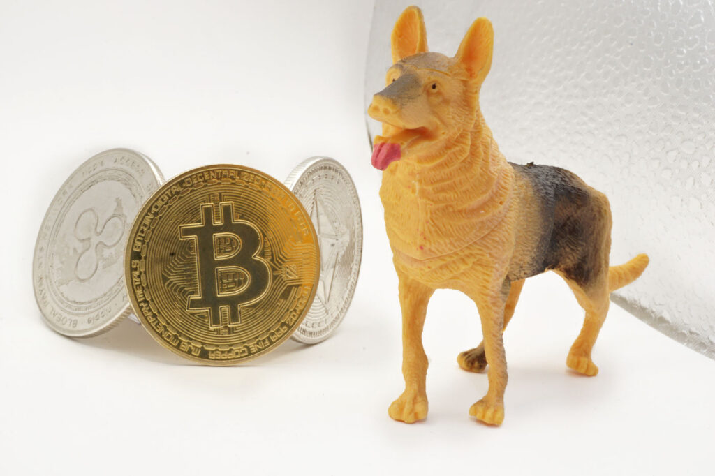 German Shepard Watchdog Guarding Cryptocurrency ($XRP, $BTC, $ETH) Tokens Ⓒ 2023 – Crypto Coin Opps