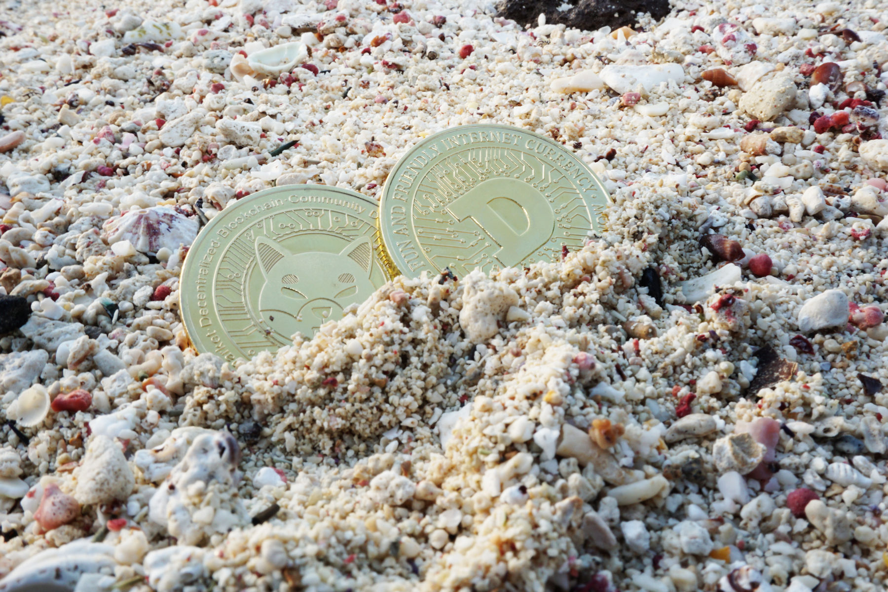 Shiba Inu ($SHIB) and Dogecoin ($DOGE) Cyrptocoin in Beach Sands of Bayahibe, Dominican Republic Ⓒ 2023 – Crypto Coin Opps