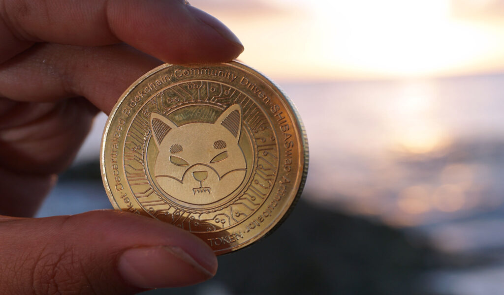 Shiba Inu Coin Posed Against The Sunset
