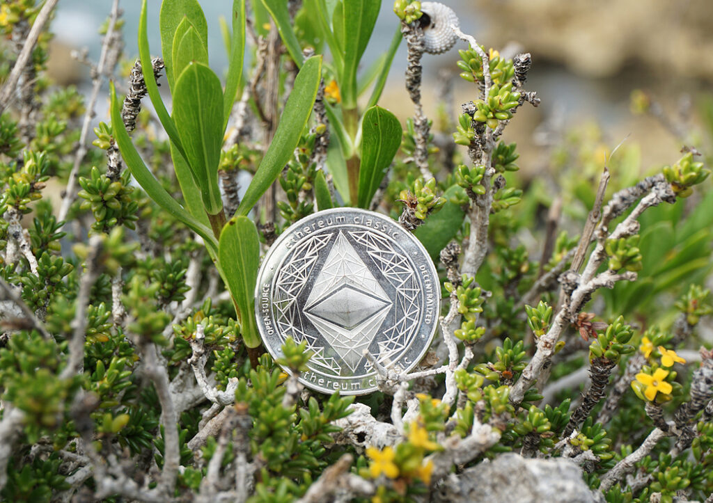 Ethereum ($ETH) Coin in Caribbean Beach Shrubs Ⓒ 2023 – Crypto Coin Opps