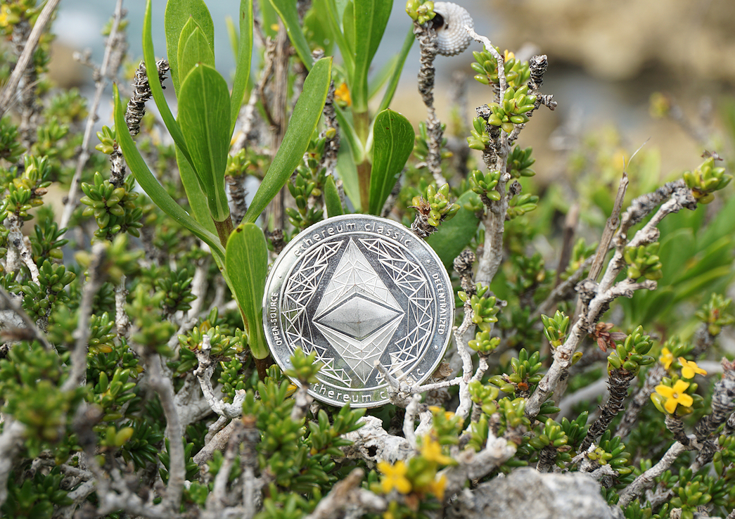 Ethereum ($ETH) Coin in Caribbean Beach Shrubs Ⓒ 2023 – Crypto Coin Opps