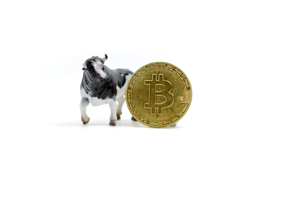 Bitcoin ($BTC) ahead of a bull run cycle Ⓒ 2023 – Crypto Coin Opps