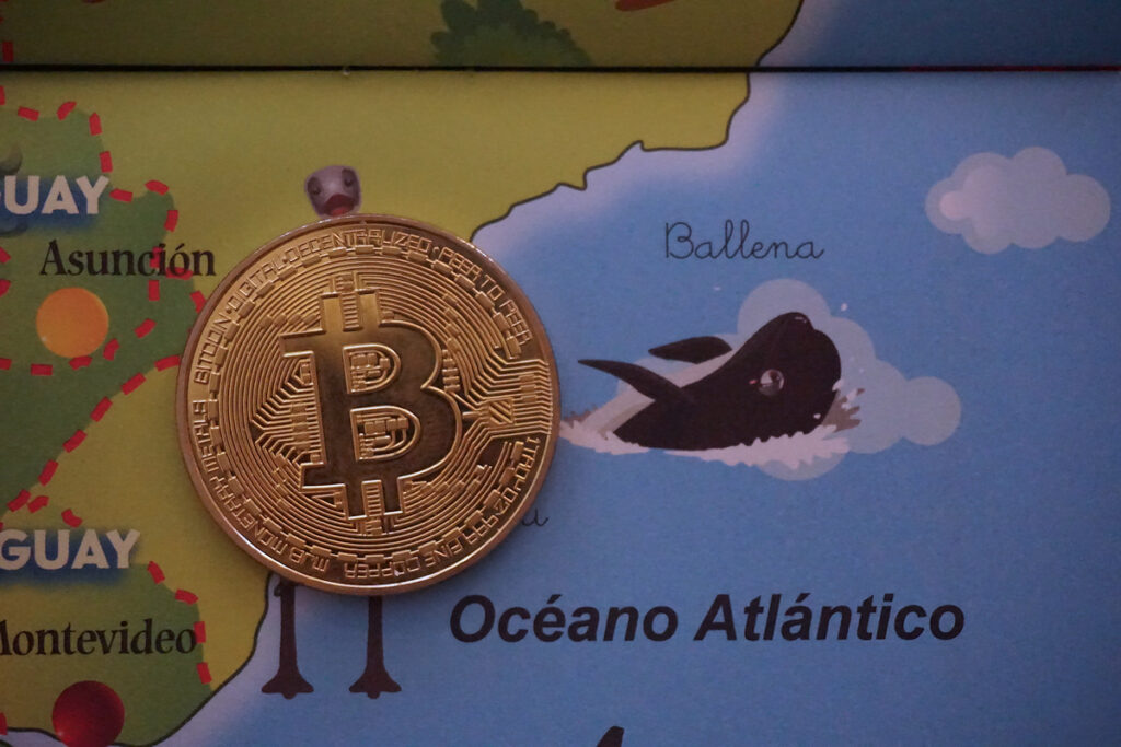 Bitcoin Next To A Killer Whale Ⓒ 2023 – Crypto Coin Opps