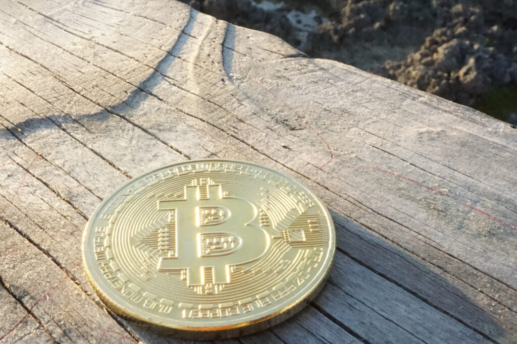 Bitcoin sitting on a wooden pier rail Ⓒ 2023 – Crypto Coin Opps