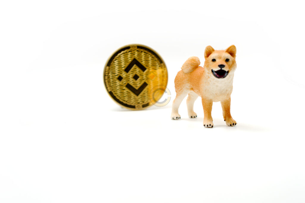 Golden Inu, a Binance Smart Chain Token, standing in front of $BNB Coin Ⓒ 2023 – Crypto Coin Opps