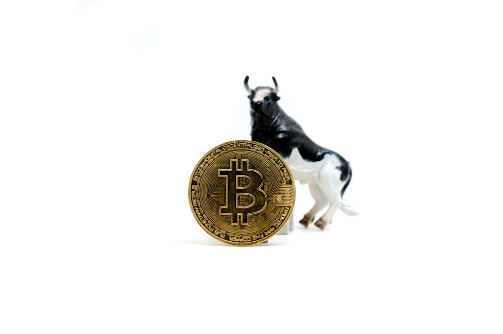 Bitcoin Bullish Ⓒ 2023 – Crypto Coin Opps